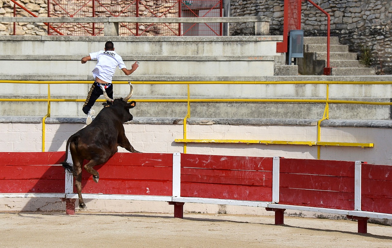 是对手