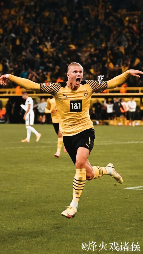 19岁前锋新秀哈兰德签约多特蒙德 19岁前锋新秀哈兰德签约多特蒙德